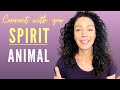 Connect with your SPIRIT ANIMAL: What Animal Spirit is calling you?  Discover your Animal Guide