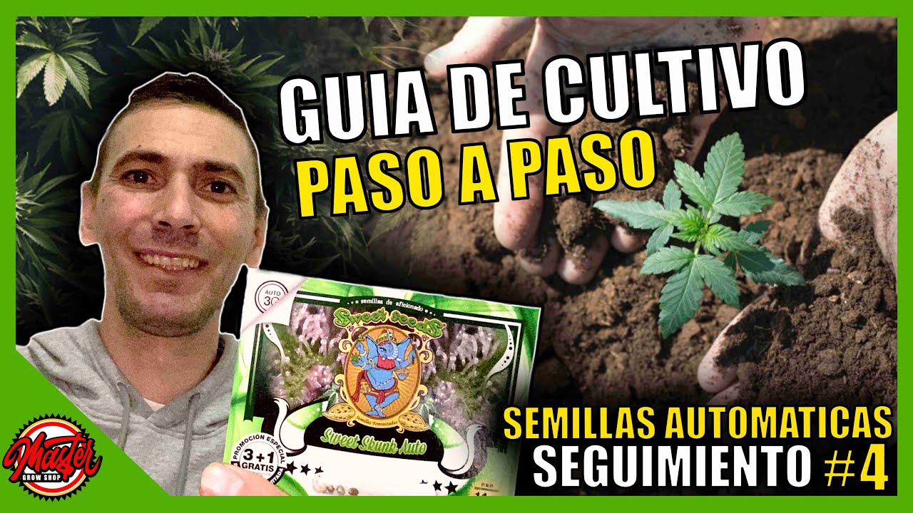 🌱#4- GUÍA DE CULTIVO | SEMILLAS AUTOFLORECIENTES
