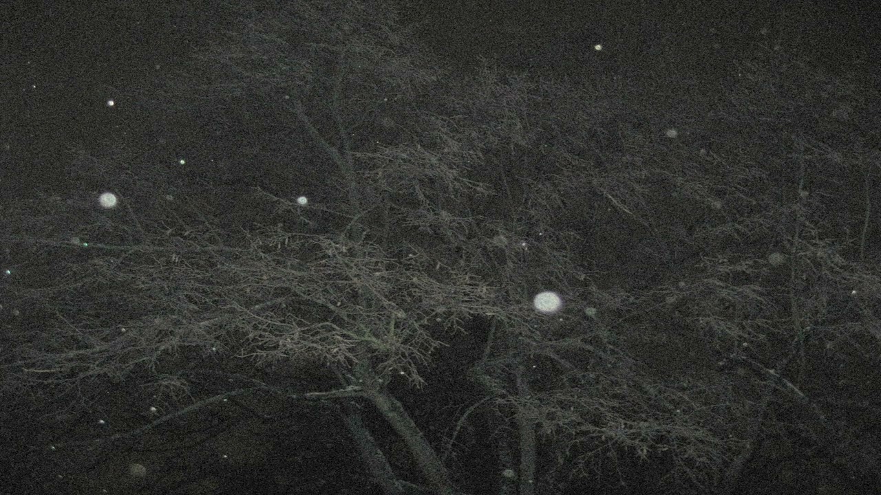 [FREE] BONES X CLOUD TYPE BEAT 