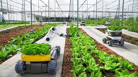 First Fully Autonomous Robotic Farm Has Shocked The Chinese!