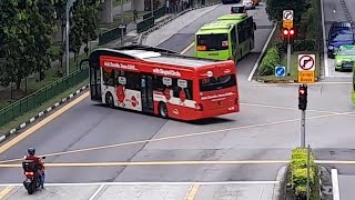 (Singtel Circle FBA) SMB1522P Service 171 (Meyson Jewellery FBA) SG5821C Service 856 Yishun Avenue 2
