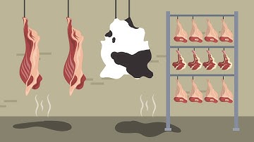 Midland Empire Packing Co. v. Commissioner Case Brief Summary | Law Case Explained