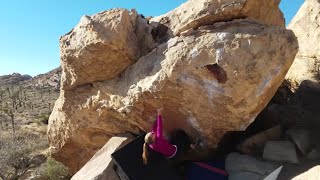 The Turtle V6 Flash - Joshua Tree