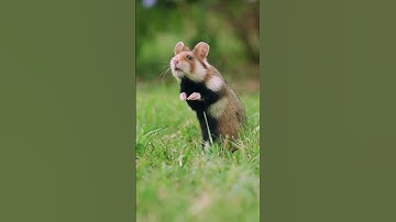 time for a break... #nature #edit