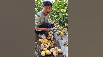 TANAMAN LANGKA