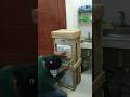 full packing kayu ordee dari riau persiapan kirim #permatadental #valplast #thermosens #part6
