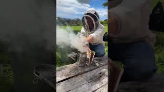 Quick Cut How to light a smoker