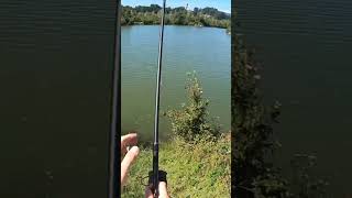 STALKING ACTION👀🎣☀️#Carpfishing #carp #fishing #outdoor #angling #anglingadventure