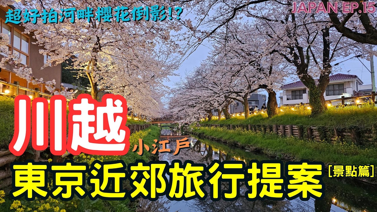 【🗾川越最強攻略 景點篇】 🇯🇵2025東京近郊旅行提案 l 超美河畔櫻花🌸 l 川越冰川神社 l 川越古蹟巡禮 l 日本自由行 l 日本親子旅遊 l  JAPAN EP.15 