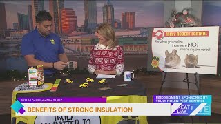 What's Bugging you? Proper insulation can keep pests away this winter