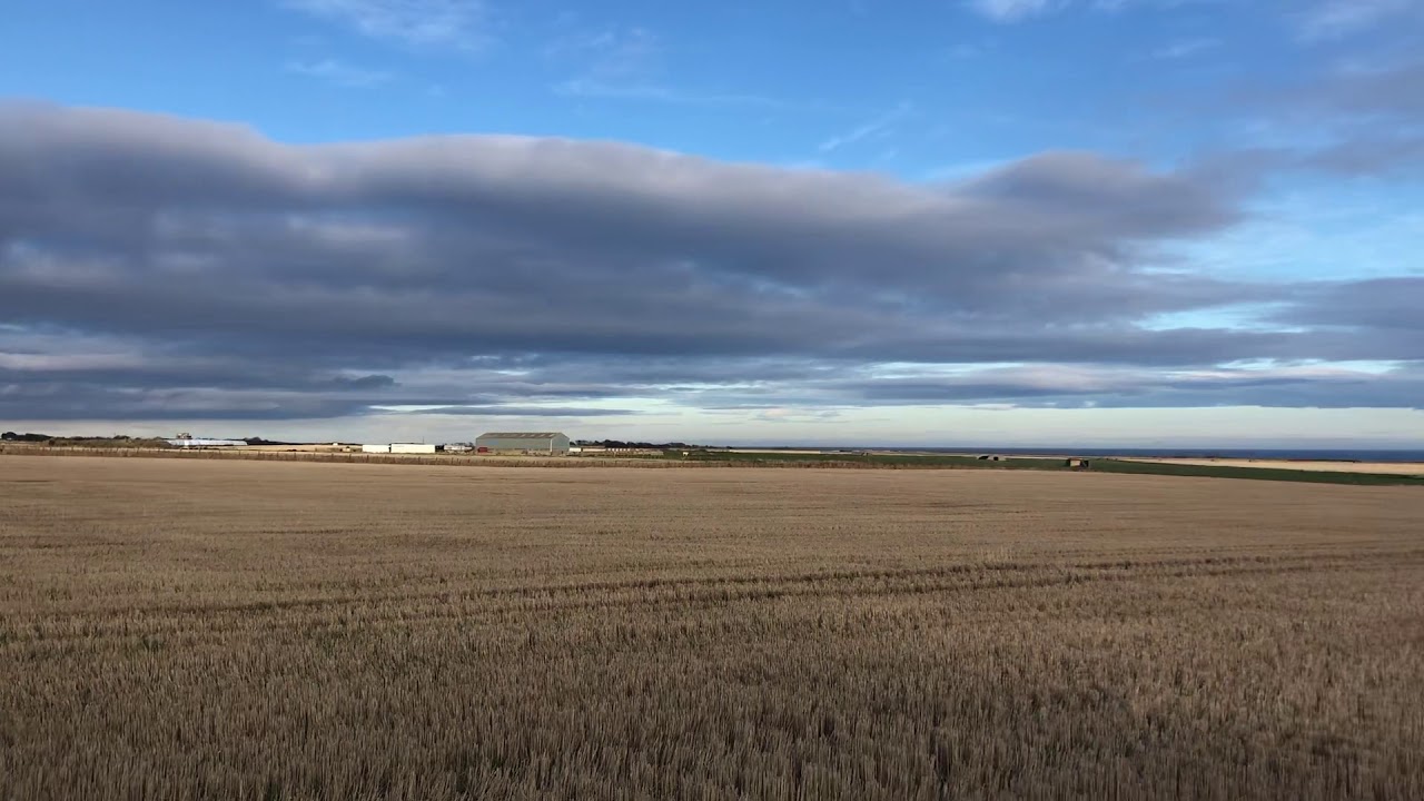 Crail Farm joy