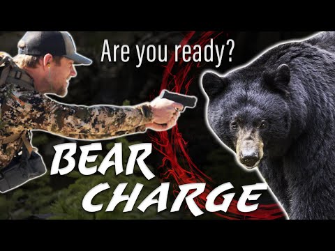 Face a head-on charge! How To Survive a Bear Attack (Grizzly or Black Bear)