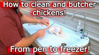 How to clean and butcher chickens! Coop to freezer #711
