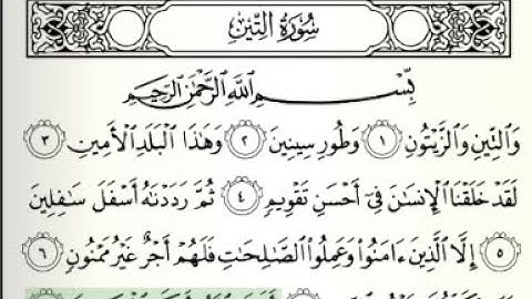 095 سورة التين || الشيخ ايمن رشدي سويد