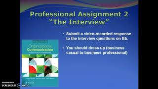 Professional Assignment 2 - The Interview
