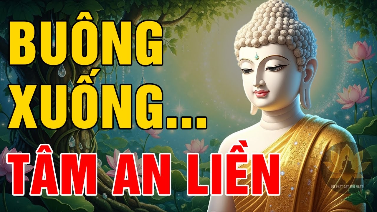 KHI ĐỜI MỆT MỎI – NGHE ĐỂ BUÔNG BỚT, LÒNG SẼ NHẸ, TÂM SẼ AN | Lời Phật Dạy Mỗi Ngày