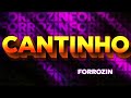 FORROZIN • CANTINHO - Iguinho e Lulinha (Canal Dj Hugo)