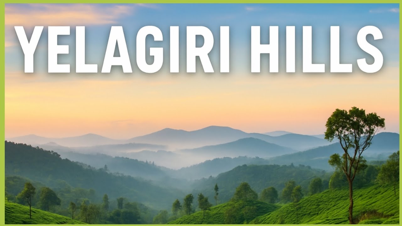 Yelagiri Hills Road Trip – One Bike 🛵 and 25 Mahindra XUV300 Cars 🚗 on a Stunning Hill Adventure ⛰️