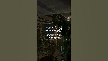 سورة الإخلاص - محمد هشام