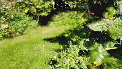 Sydney Minsky Sargeant - Summer Song (Official Audio)
