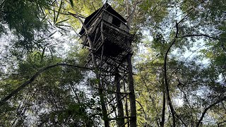 Build a house in a tree in the middle of the forest, alone, drinking coffee, cooking.