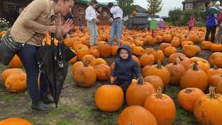Downey’s Farm Pumpkin Patch