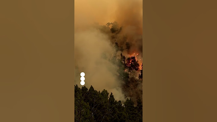 Spain: Wildfires rage in Tenerife