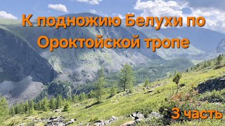 видео: Алтай. К подножию Белухи. Серия 3: Испытание на прочность. картинка: Алтай. К подножию Белухи. Серия 3: Испытание на прочность.