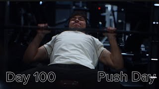 Day 100 - Push Day