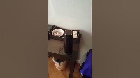 An interactive voice interface to Splunk