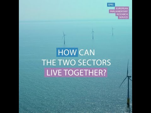 Offshore windfarms and fisheries: can they co-exist?