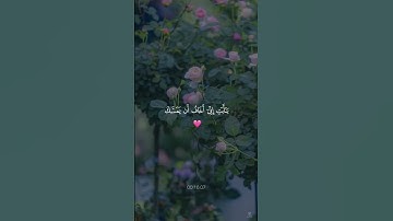 #اكسبلور #المصحف #الرحمن #لايك قران كريم بصوت جميل