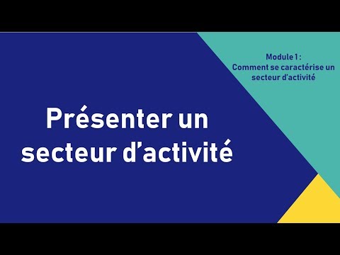 Vidéo: Comment Déterminer Le Type D'activité De L'entreprise