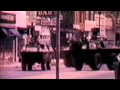 Miniature de la vidéo de la chanson For What It's Worth