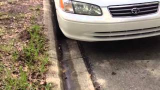 Camry with Rims - "Rise and Fall"