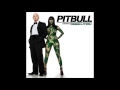 Pitbull Dope Ball Interlude mp3