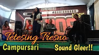 TETESING TRESNO Campursari || Music kampung || Sound gleer