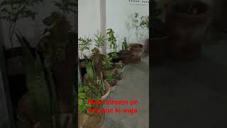 mere stream pe late ane ki waja yah hai #shorts