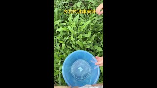 7393000881681206580.mp4