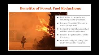 FireWise and Fuel Reduction Land Management Practices, Amanda Bintliff (NSWC)