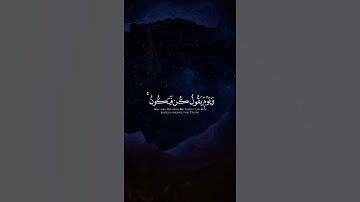 ( وَيَوۡمَ يَقُولُ كُن فَيَكُونُۚ )تلاوة جميلة خاشعة ماتيسر من سورة الانعام للشيخ ناصر القطامي❤