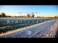 途中広告なし【Playlist】霜が溶けていくような朝 | 作業用BGM | Chill & Relax