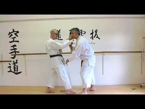 kicks defence Bunkai Strategies 2020 week 39 koryu karate oyo jutsu