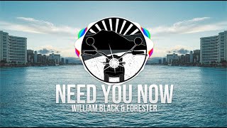 William Black & Forester - Need You Now