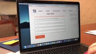 Video Instructions to Access Online SBA PPP Application screenshot 2
