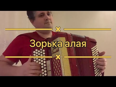 Ой занялась рябина зорькой алою. Бардин Зорька алая. Зорька алая разбор на баяне. Зорька алая на гармони в цифрах.