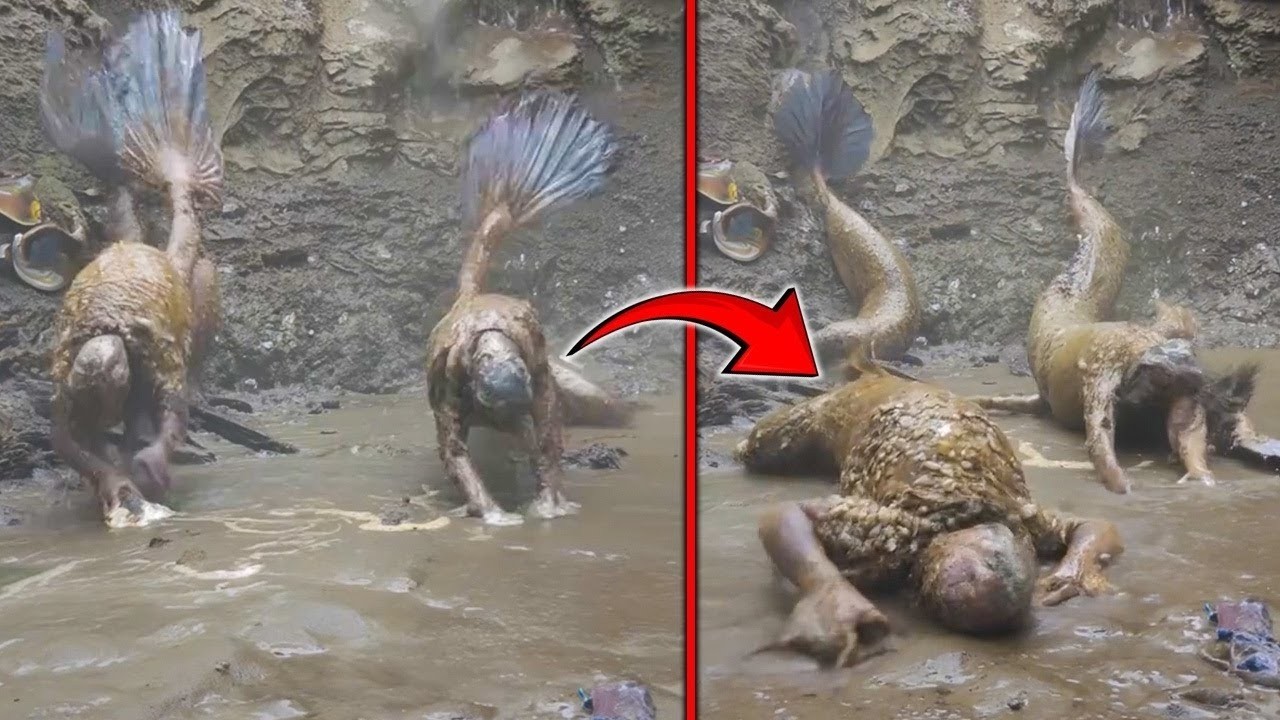 Captured on Camera: The Real Deal – Video