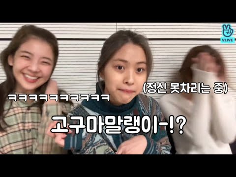 (ITZY) 기승전 고구마말랭이