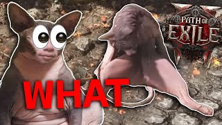 They added WHAT in POE ???
