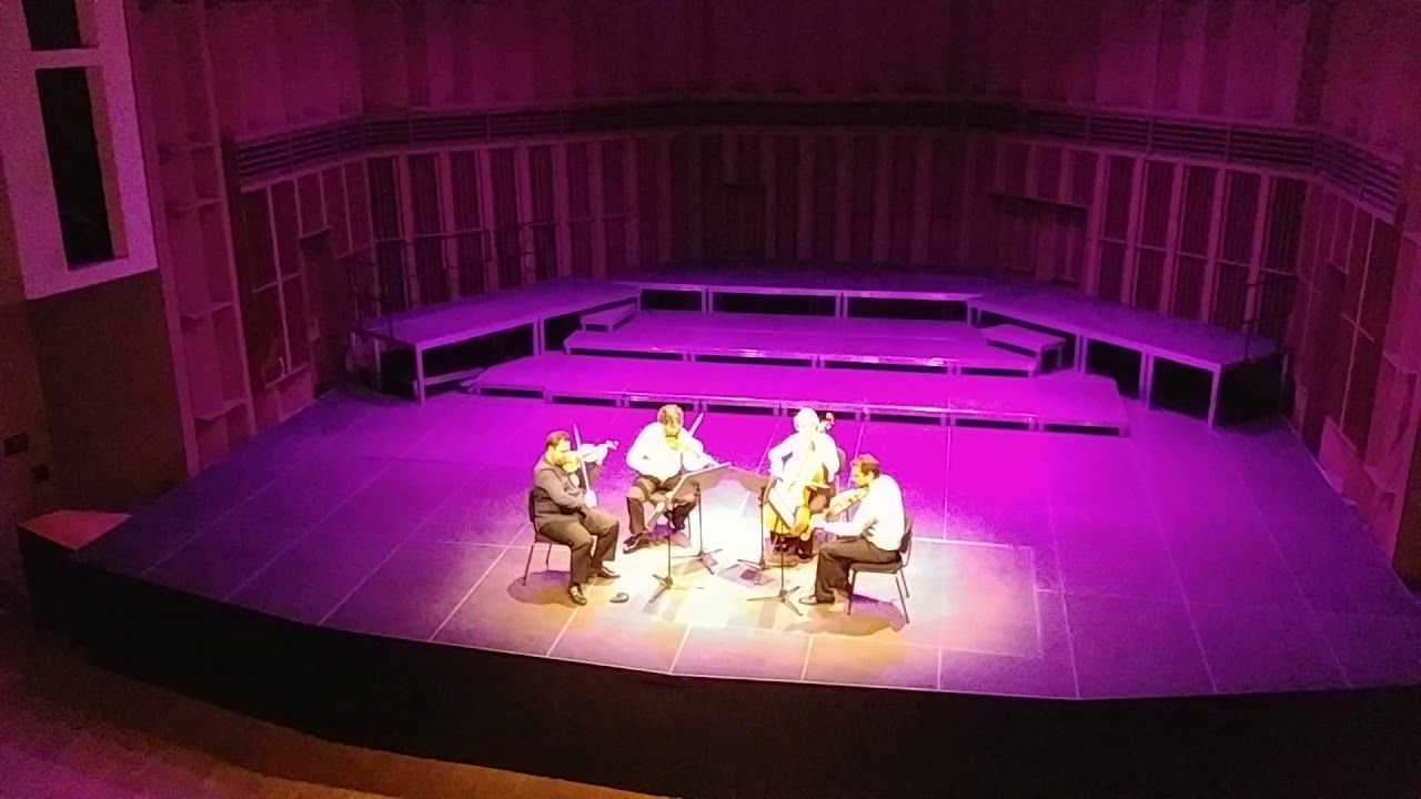 J. Brahms Hungarian dance no.6 by Prometheas String Quartet